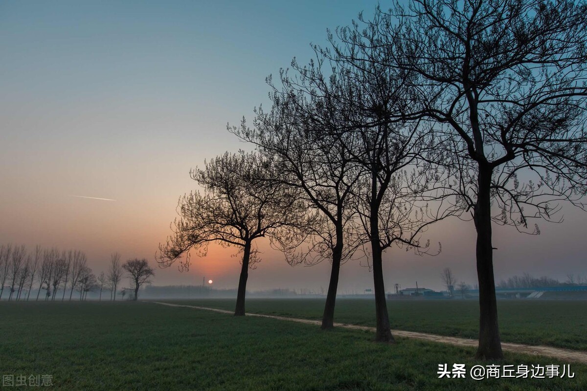 睢县涧岗集老木匠驹爷,一口气生了五个儿子,柱,栋,梁、檩、椽