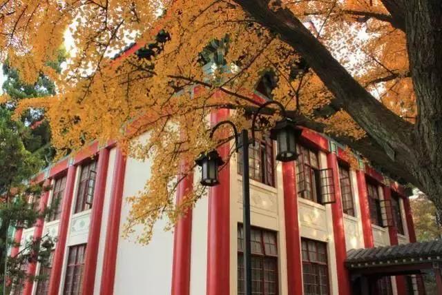 女排11连胜新闻联播,南师大排球比赛直播回放