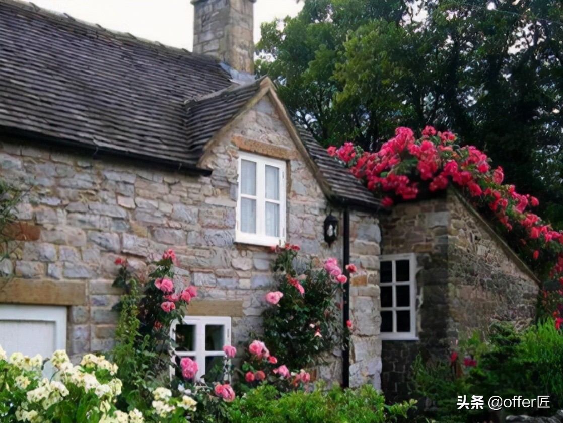 英国brp卡可以当护照吗,英国的brp卡有什么用