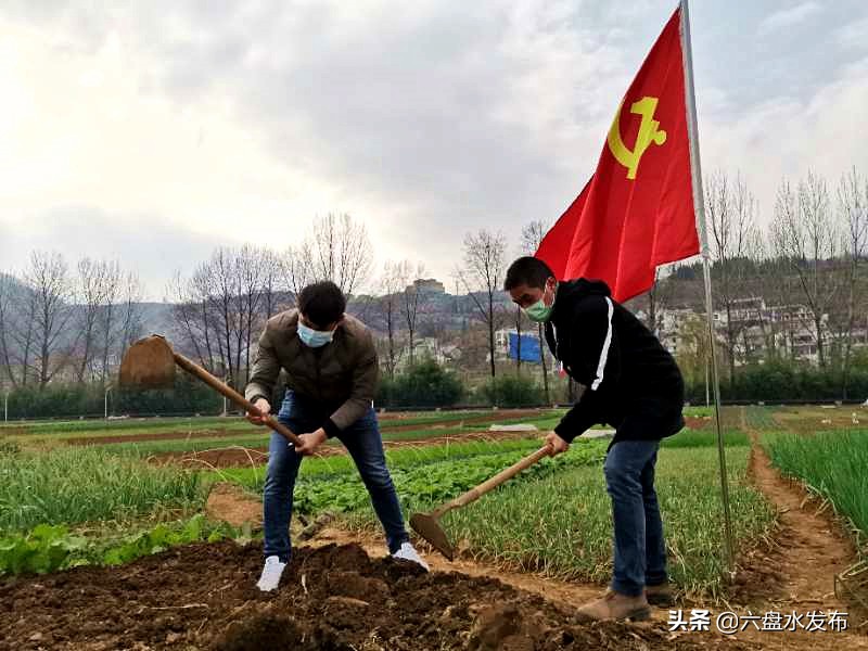 钟山区大河镇:*党**员助春耕“卷起裤腿”下田头