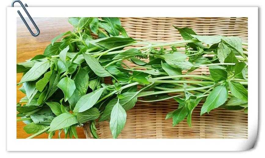 湿气重没胃口赶紧用它煲汤,广东湿气重煲什么汤好喝