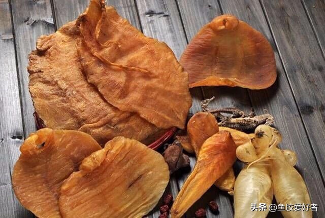 为什么鱼胶要那么贵,顶级鱼胶为什么那么贵