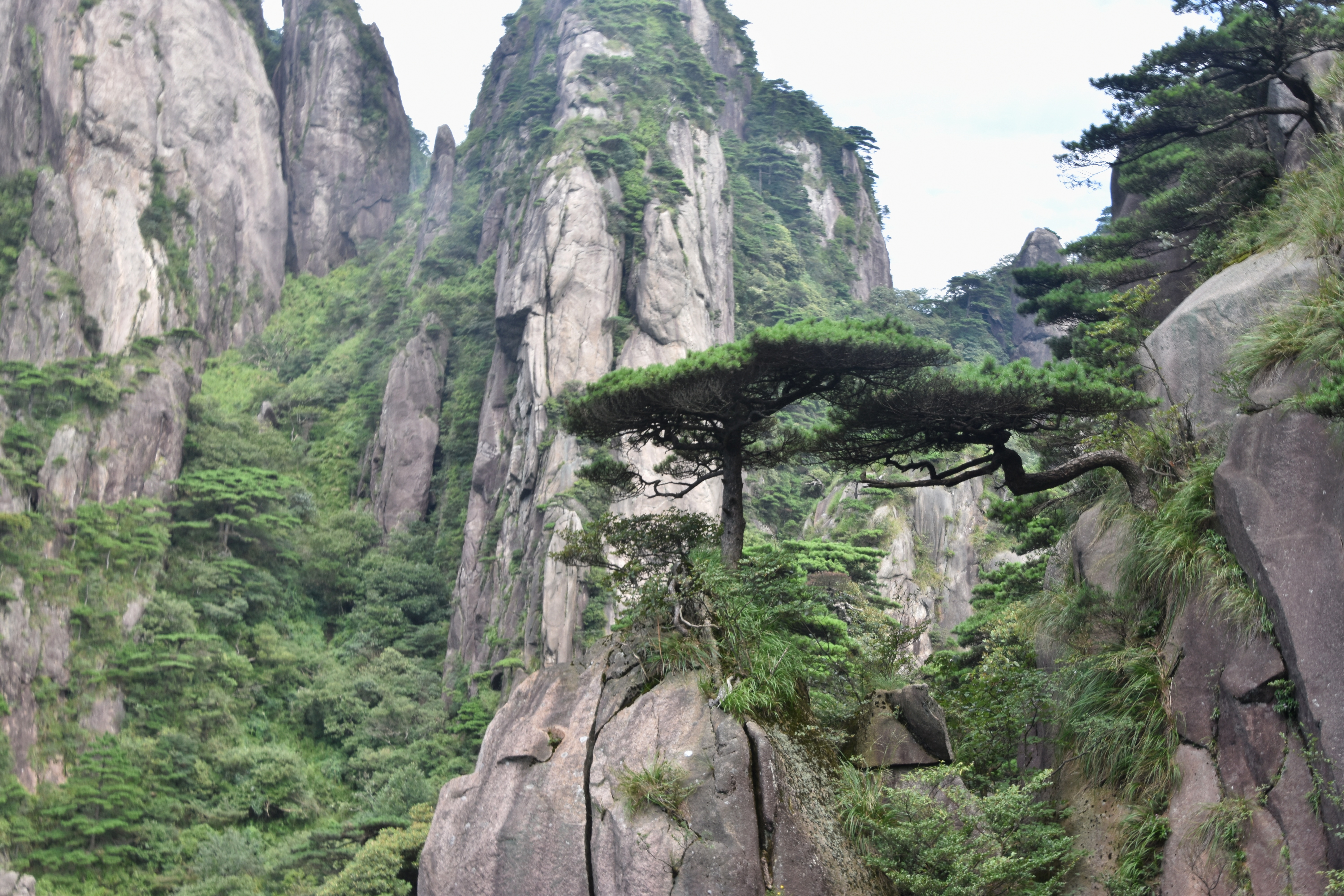 大美中国之江西上饶三清山,江西上饶的三清山美景