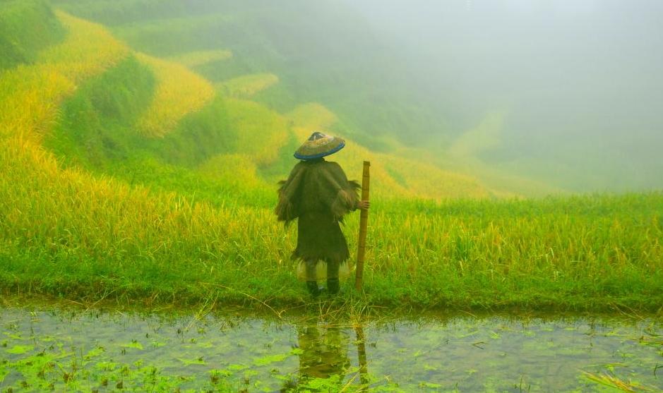 天气热被蛇咬怎么办,防止被蛇咬伤的最好方法