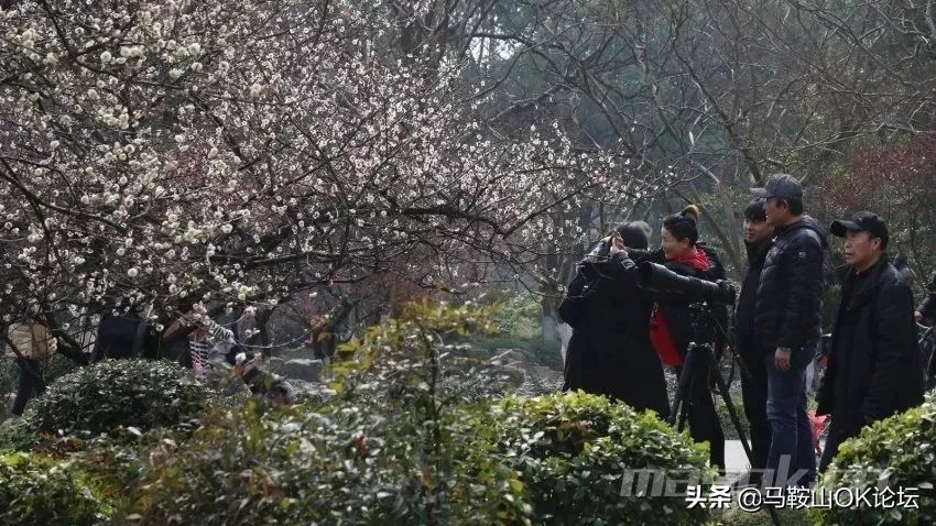 马鞍山的一年四季,马鞍山春天哪里最好