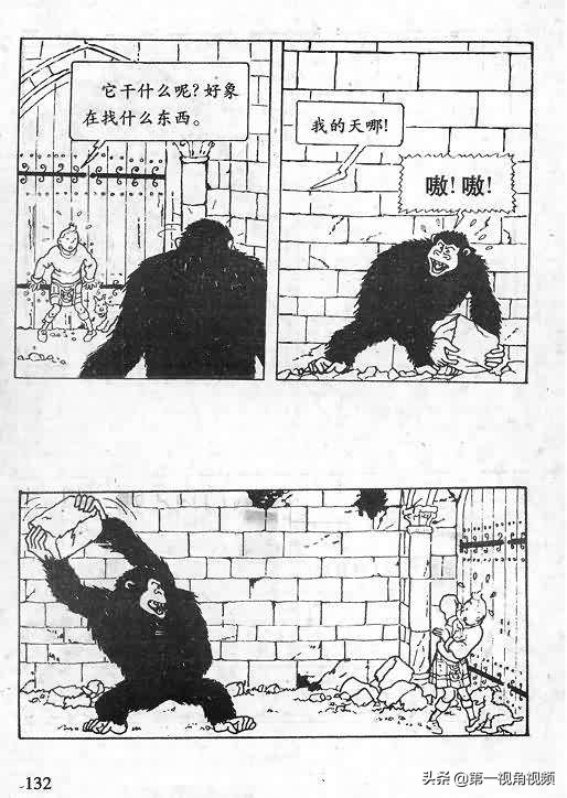 丁丁历险记刚果完整版,丁丁历险记西藏