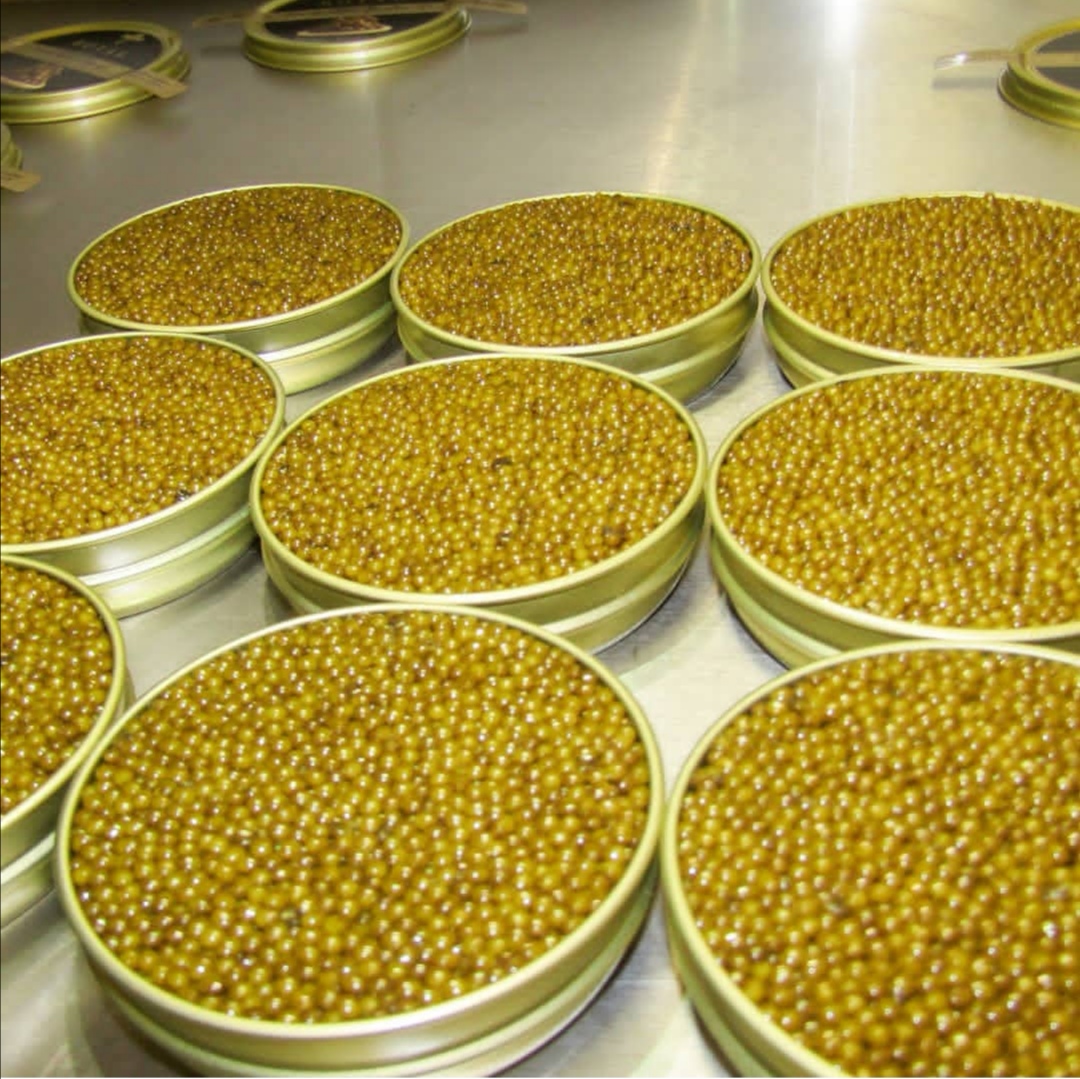 鱼子酱为什么被称为顶级高端美食,鱼子酱为什么是顶级食物