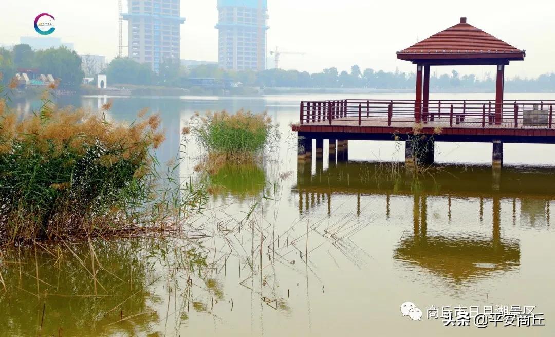 商丘日月湖景区初冬美景惹人醉,商丘市日月湖风景视频