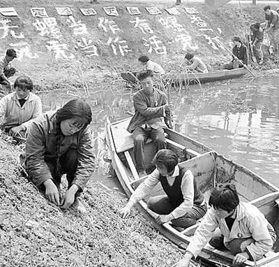 血吸虫会让肚子变大吗,血吸虫为何导致大肚子