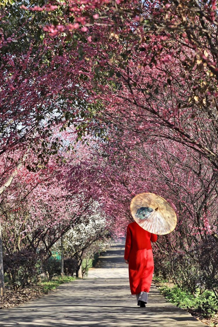 傅家边野营,走进金溪傅家村