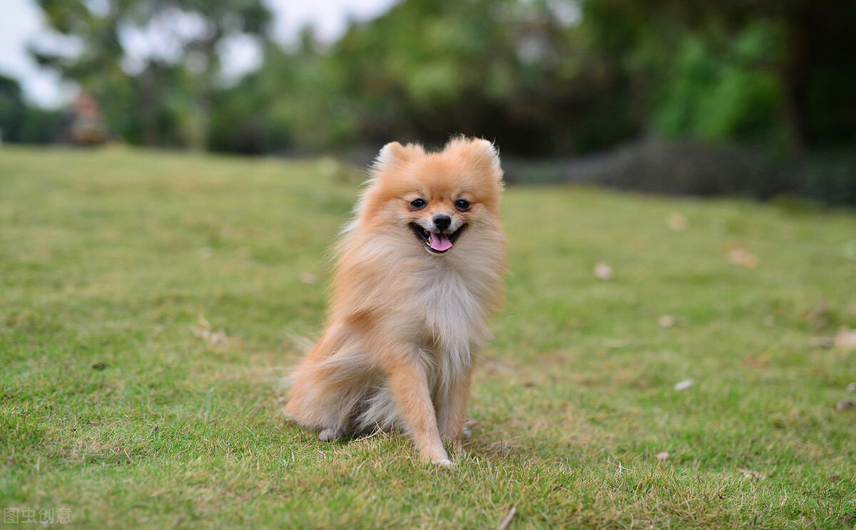 如何提高深度睡眠的连续性,汪教授分享