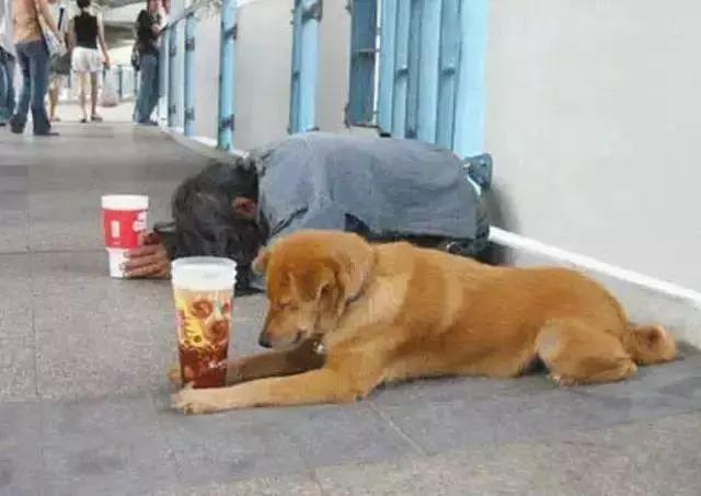 没钱了怎么办借钱,没钱了怎么办啊