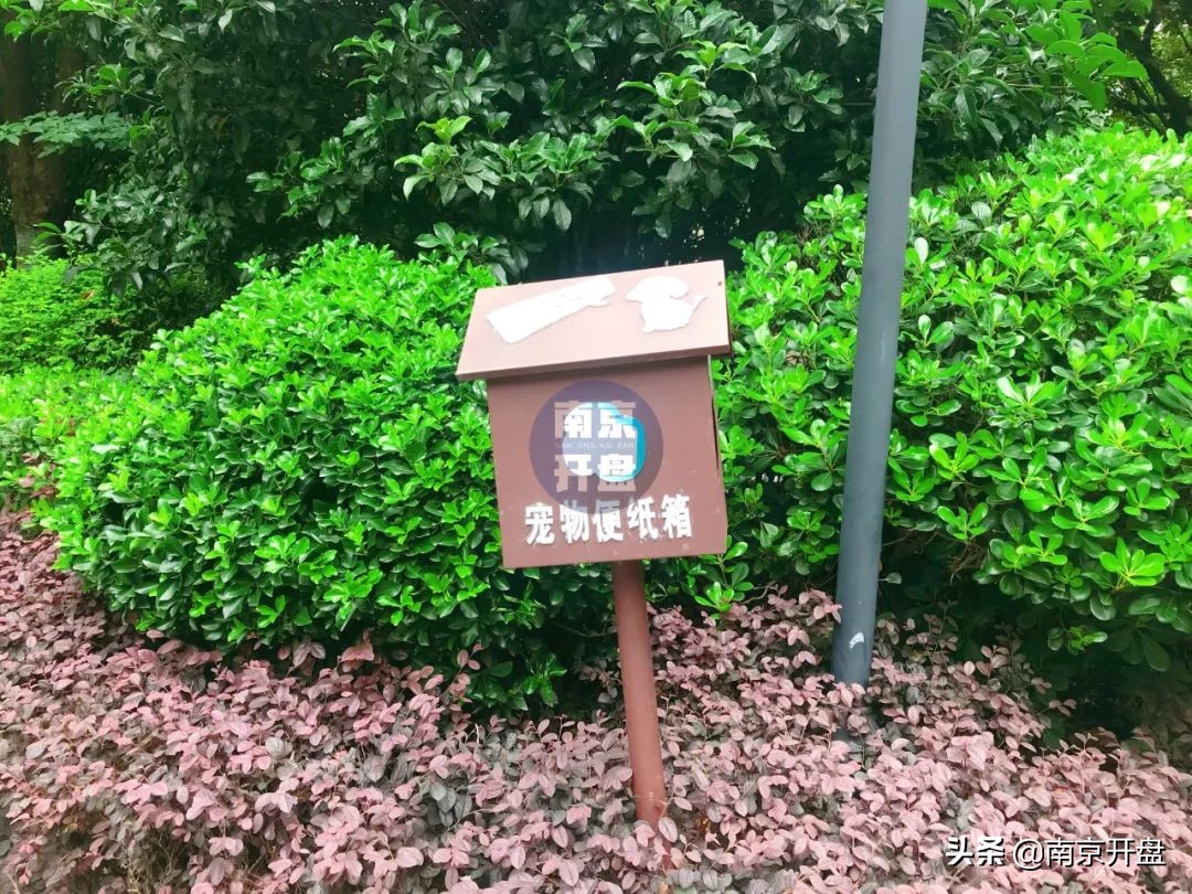 一套房产以516万拍卖成交,一套房子6000万