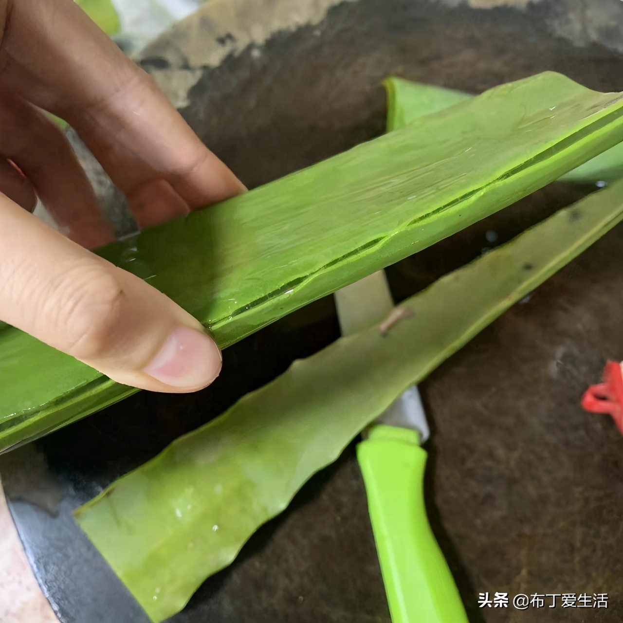 芦荟保湿水粘稠好吗,芦荟水是保湿的吗