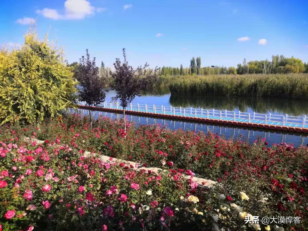 新疆小县城的商机,新疆发展空间大的新项目