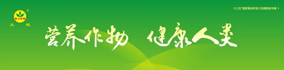 姜种怎么掰开,姜种怎样掰芽