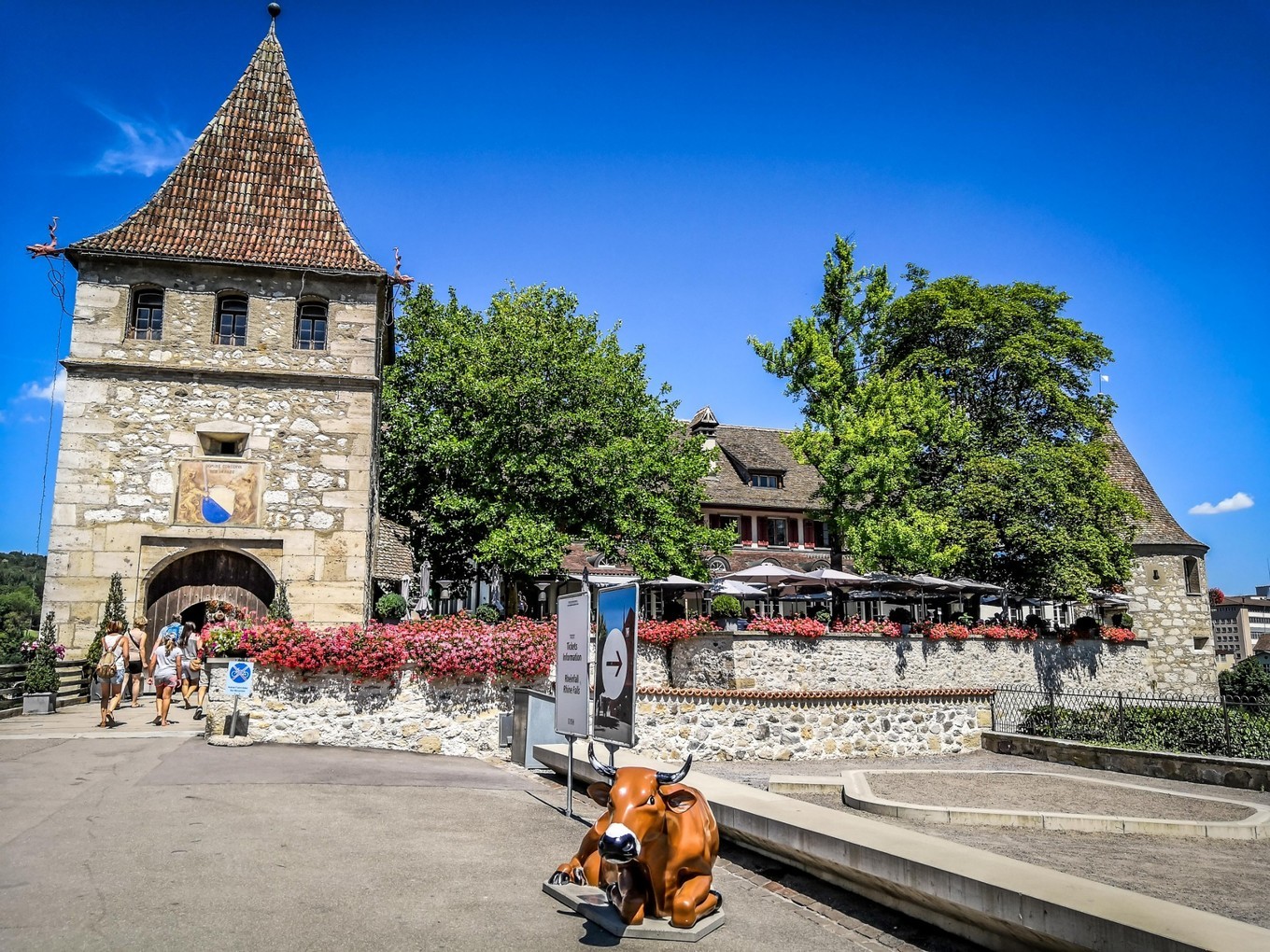 德国莱茵河畔最美小镇,莱茵河边施泰因小镇