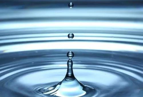 酿酒一般用什么大米,酿酒用什么茶