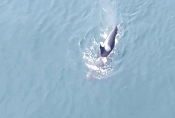 女童被妈妈饿成干尸，亲爸狂扇婴儿巴掌：你不知道，孩子有多爱你