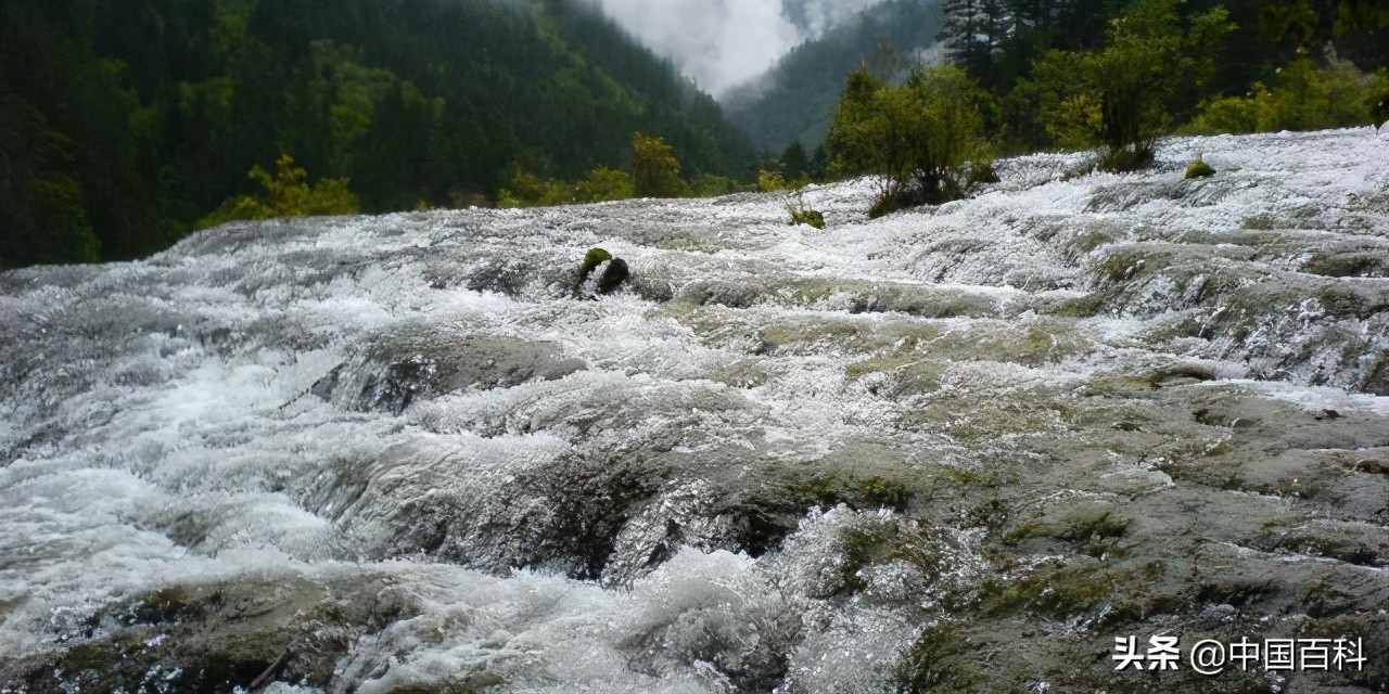 都江堰九寨沟个人游玩攻略,九寨沟全攻略