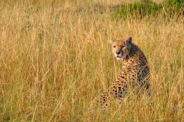 帮你快速入门单反摄影绝对经典,单反摄影入门选哪个牌子