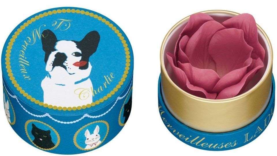 2019日本美妆 (性价比高又好用的日本美妆新品)