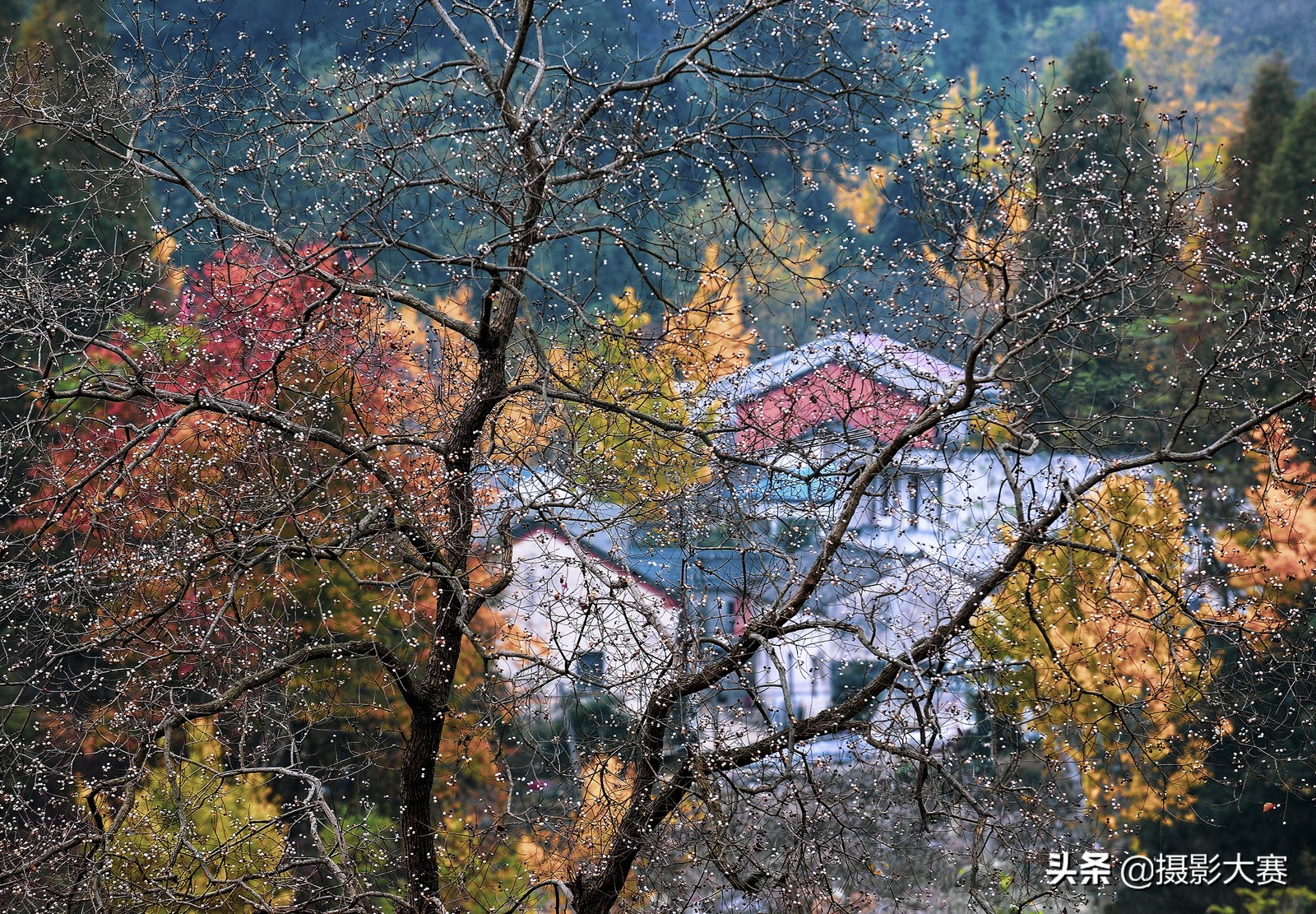 尼康摄影大赛什么时候开始,2023尼康摄影大赛官方网站