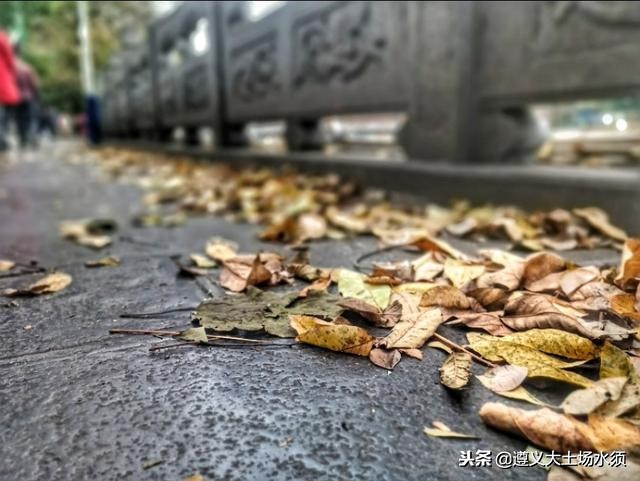 在冬天里看遵义湘江河上的秋色