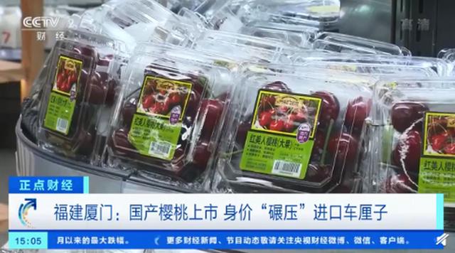 国产樱桃身价碾压进口车厘子,山东樱桃价格最新行情车厘子