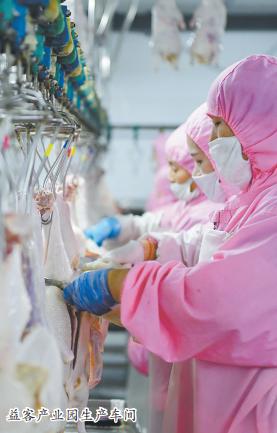 鄄城县的历史变迁,鄄城为什么是千年古县