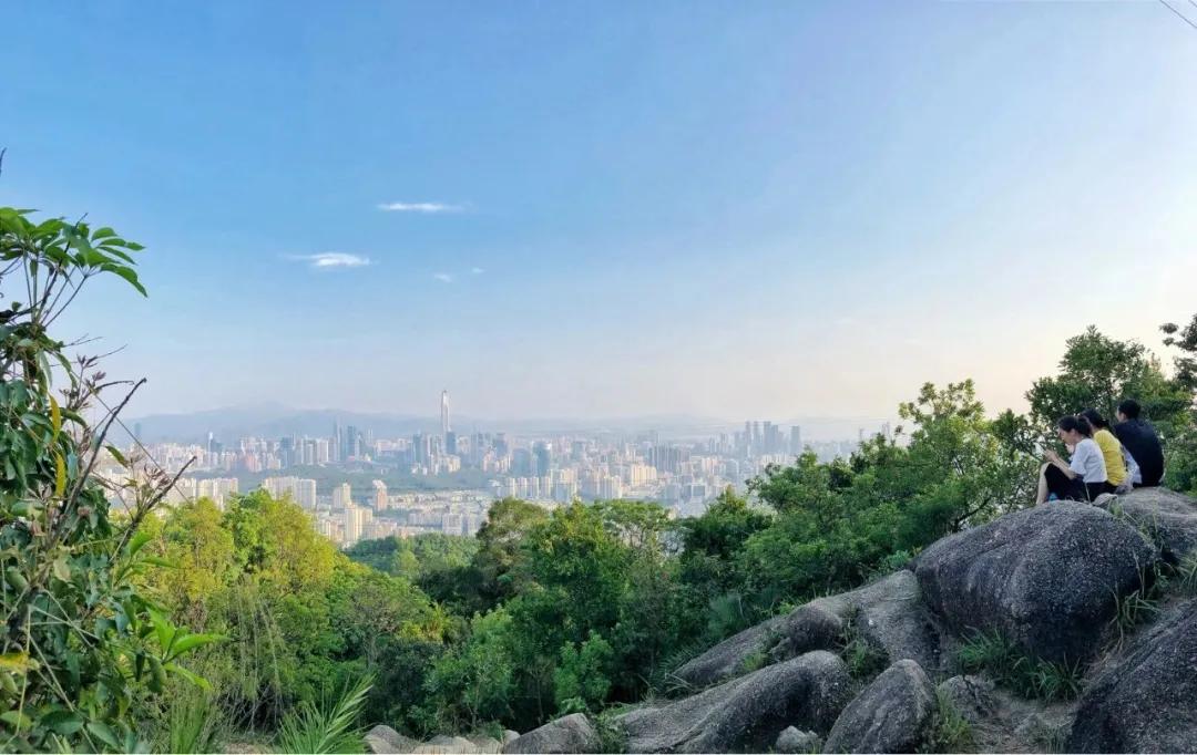 深圳首条手作“原始登山道”,人少好爬景色超美…过年去哪不用愁