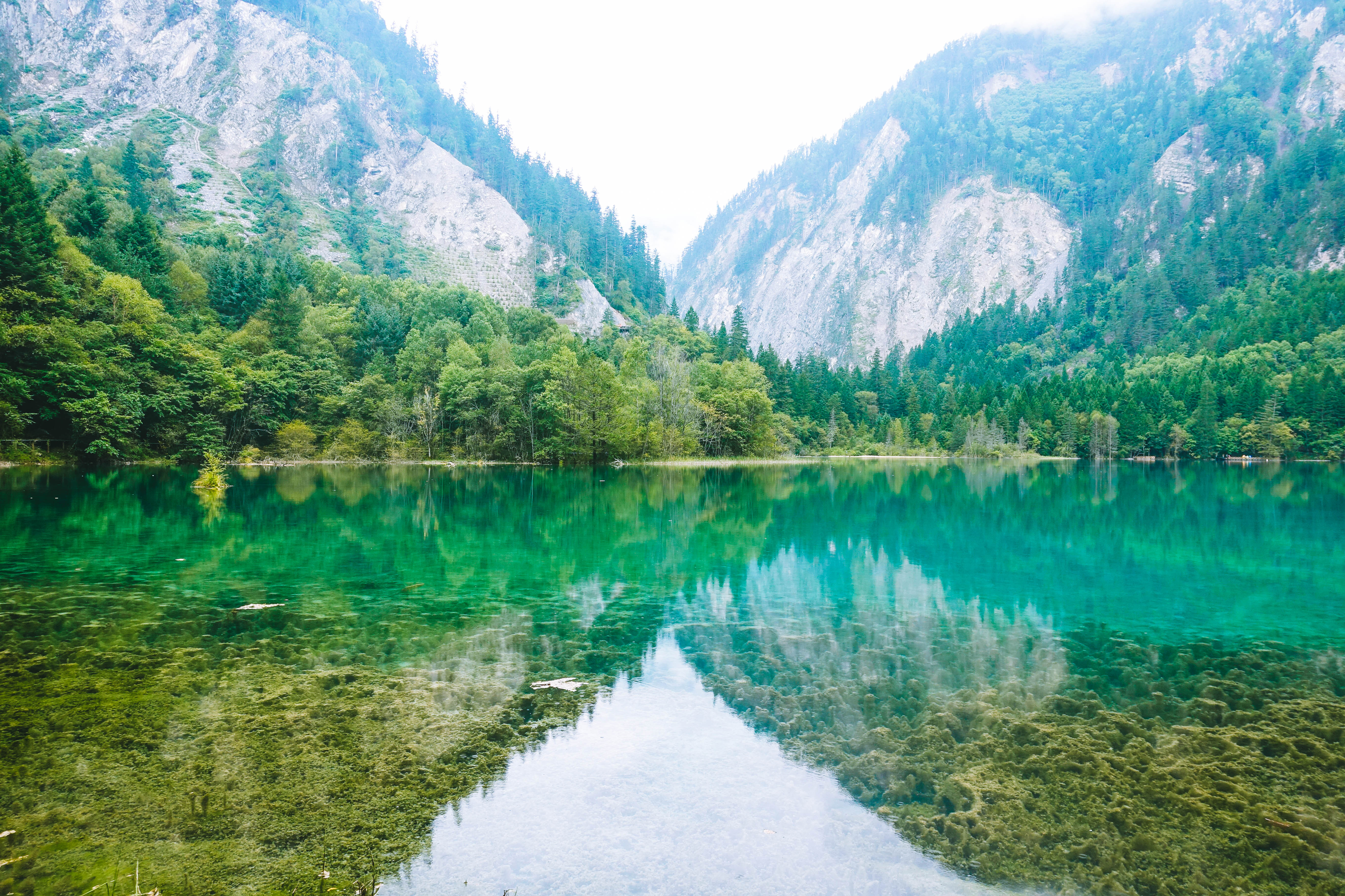 秋天九寨沟最美的季节,秋天九寨沟美景图片