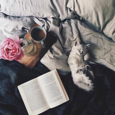 你别太嚣张毕竟我也会爱上别人的