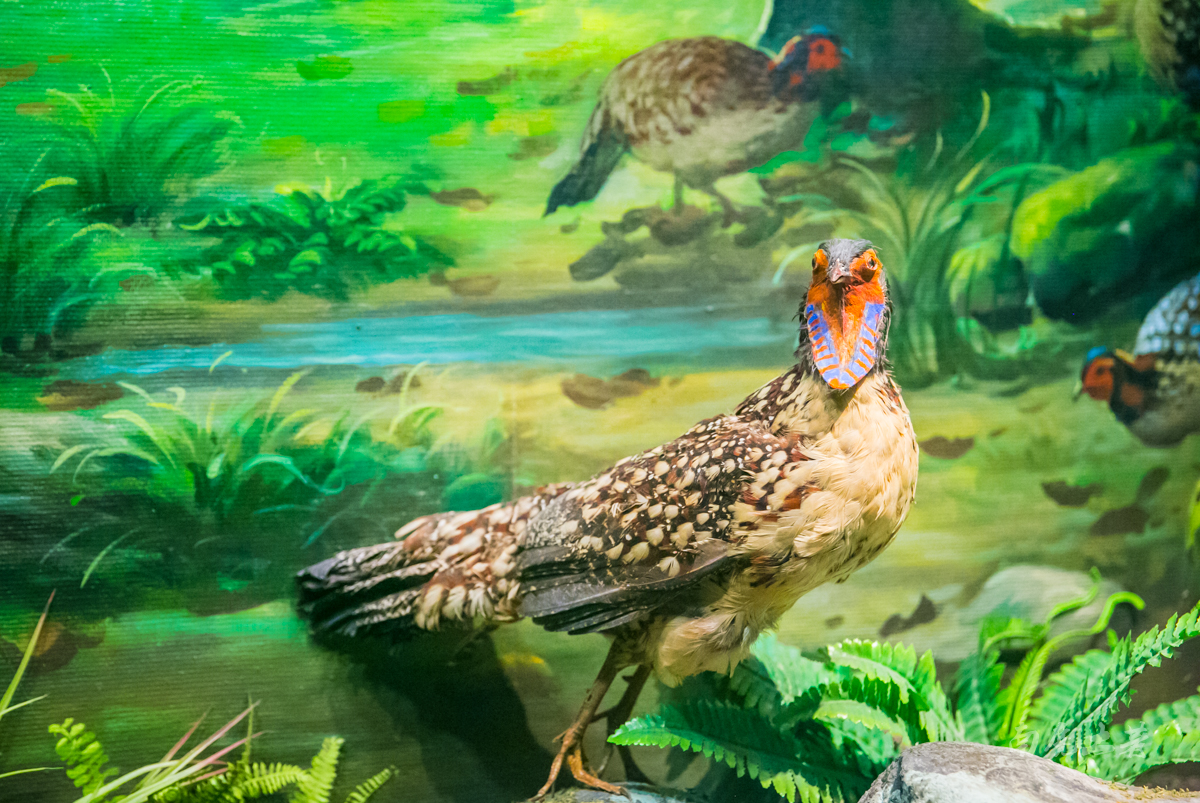 浙江靠近高速口的景点,浙江6处鲜为人知的隐秘风景地