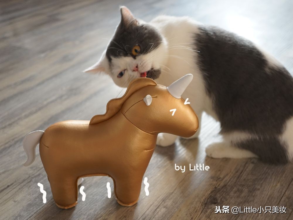 大牌圣诞限定礼盒开箱,圣诞节限量款开箱