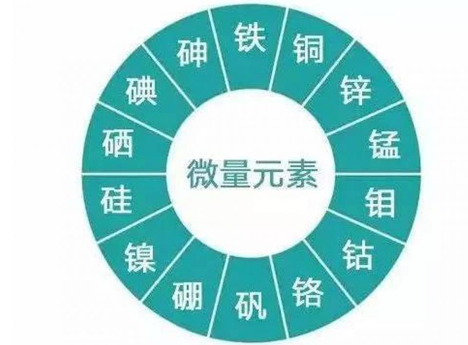 小宝宝头发“竖着长”，像极了“*债讨**鬼”，父母可有罪受了