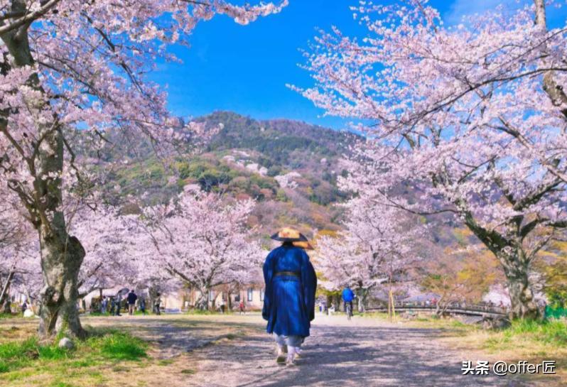 东京大学：日本的“清华北大”