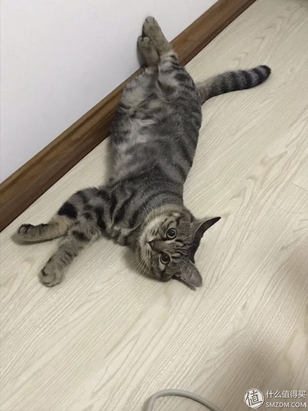 戴森买v7还是v8怎么选,双11戴森吸尘器价格