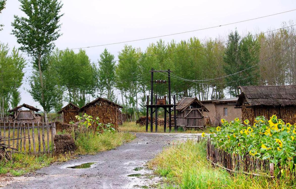 壁虎进宅有什么说法,壁虎进屋不好