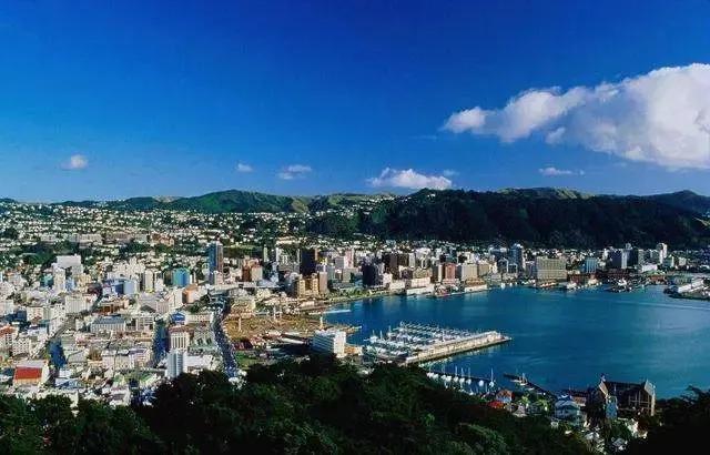 新西兰华人工厂打工真实生活 (在新西兰打工生活真实体验怎么样)