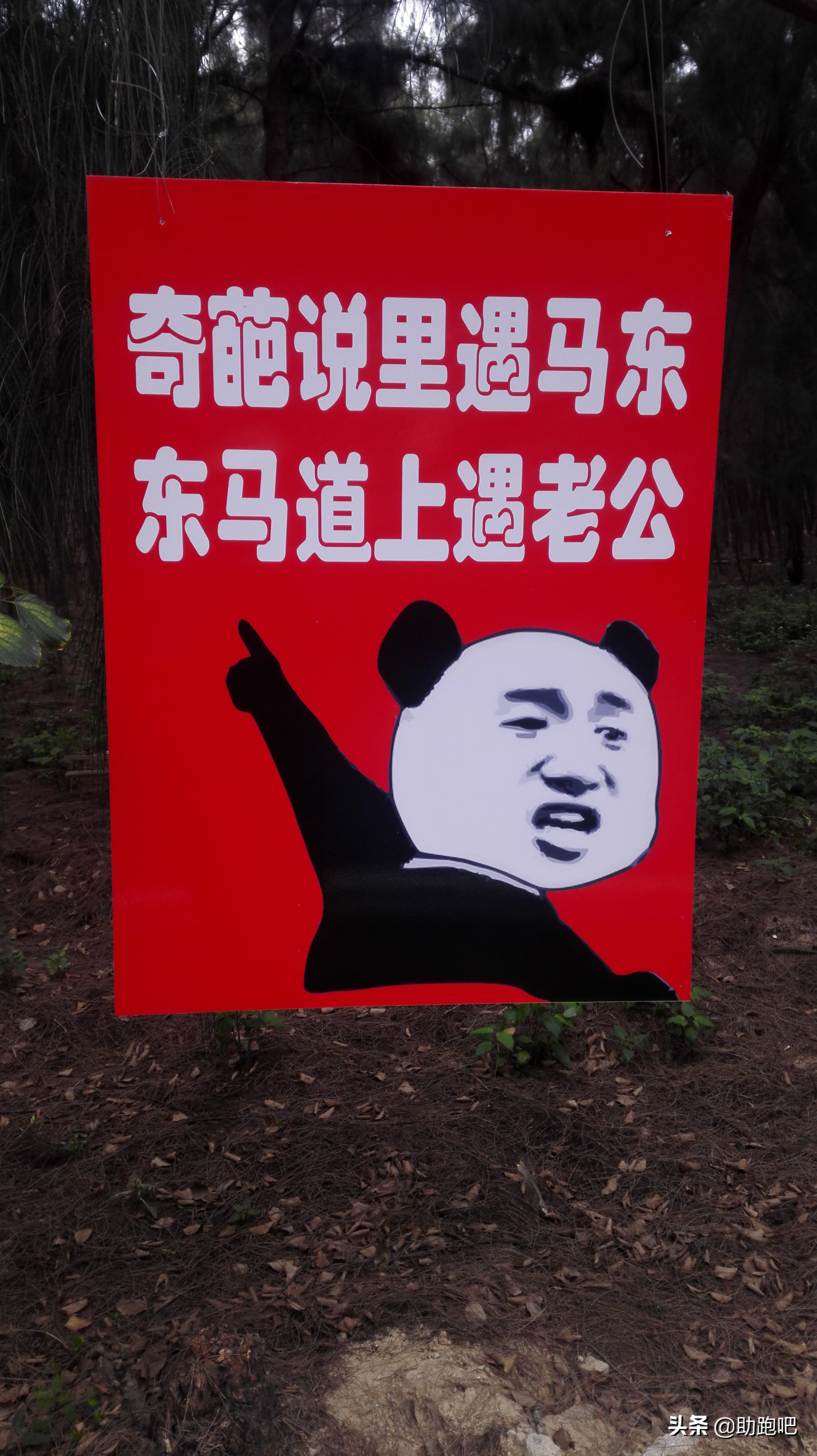 奇葩说马东搞笑集锦,奇葩说马东谈马季