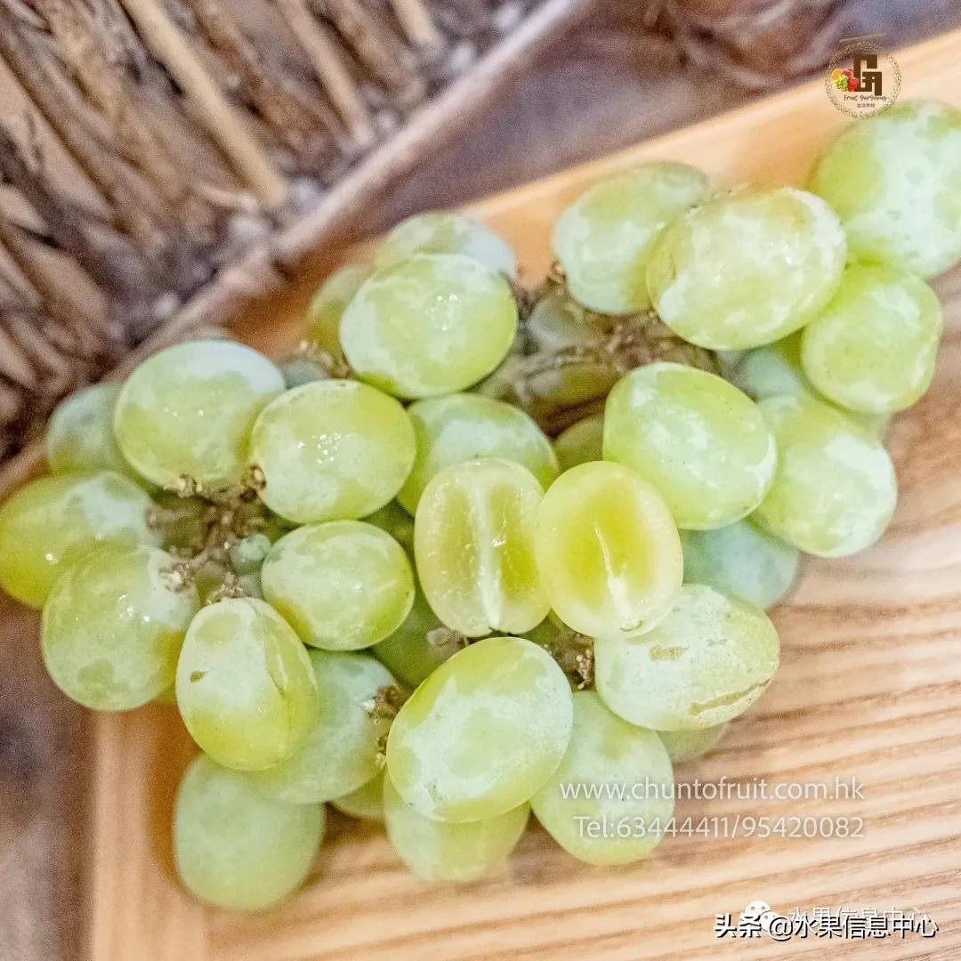 进口水果生意年入千万,批发水果月入百万