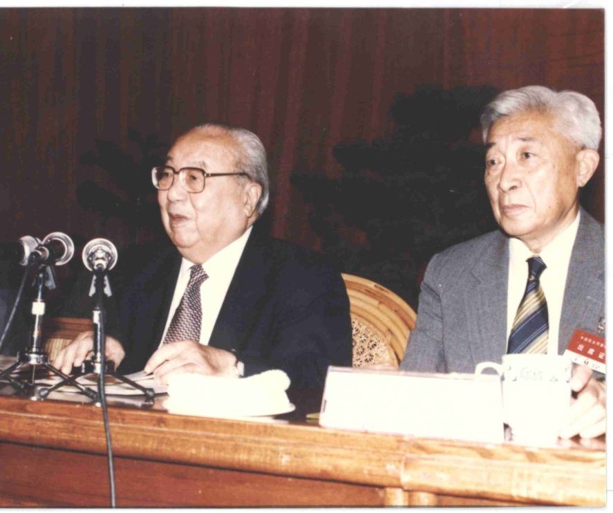 深切缅怀|丁石孙：既然当了民盟中央主席，就要尽己之力把它当好