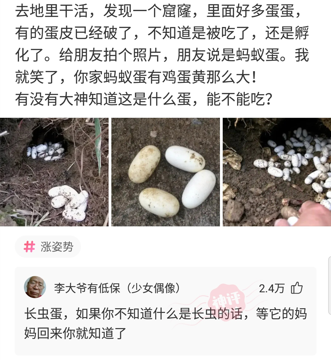女朋友带我去见她父母和亲戚,女朋友带我去见她家长辈