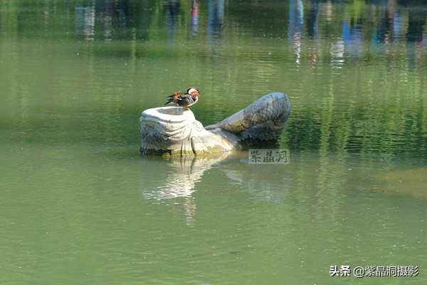 北京大学有哪些景观,北京大学为什么那么出名