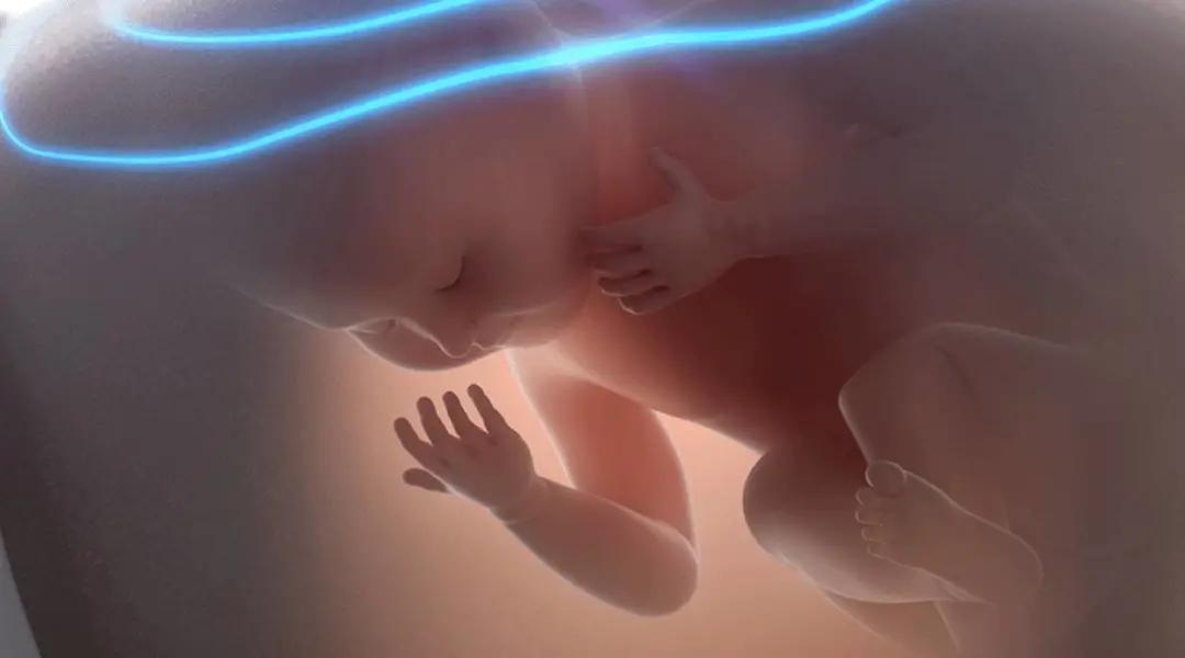 神秘的孕妇视频,神秘怀孕的孕妇