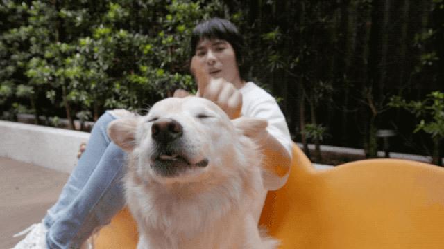 萧敬腾的单身豪宅曝光,萧敬腾8层豪宅曝光多少钱