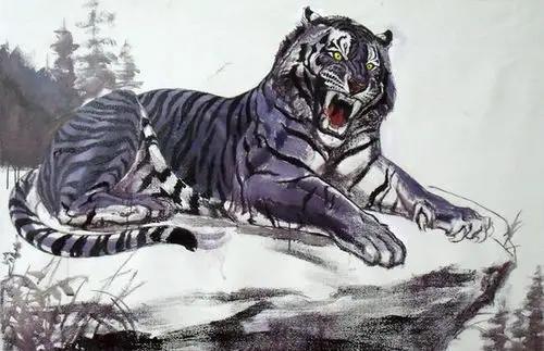 麻老虎是干什么的,麻老虎的故事