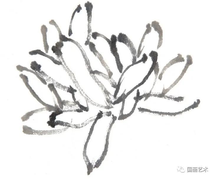 国画写意菊花龙爪菊,写意菊花画法教程简单