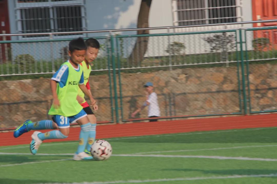 信阳维德青训基地,维德青少年培训